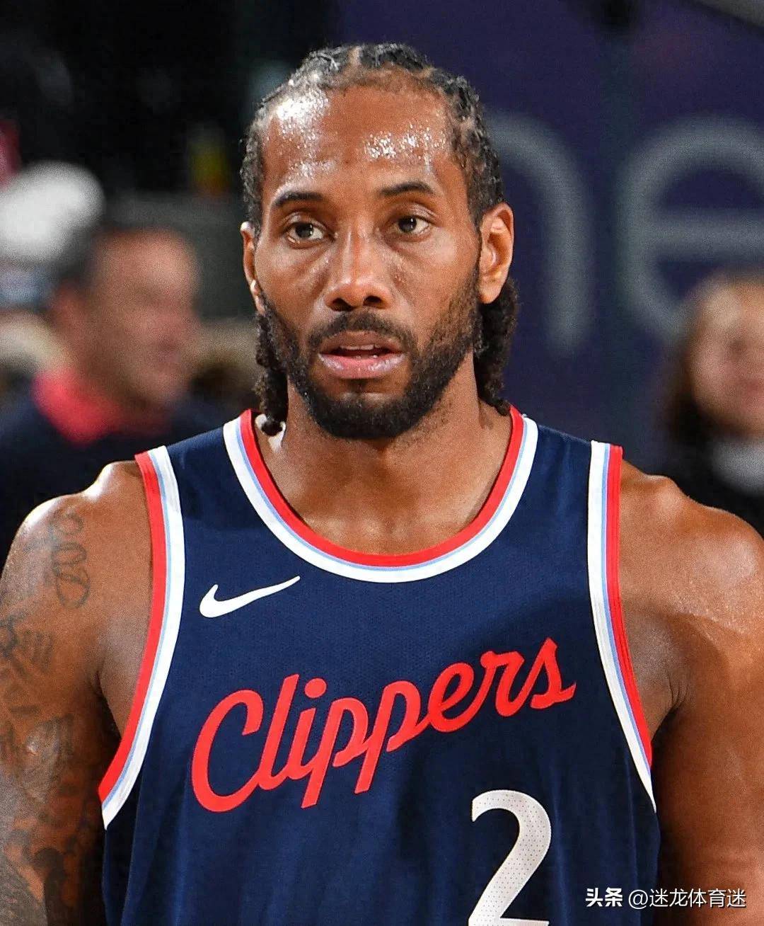 相对稀有度 相对稀有度