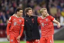 结果证明 结果证明